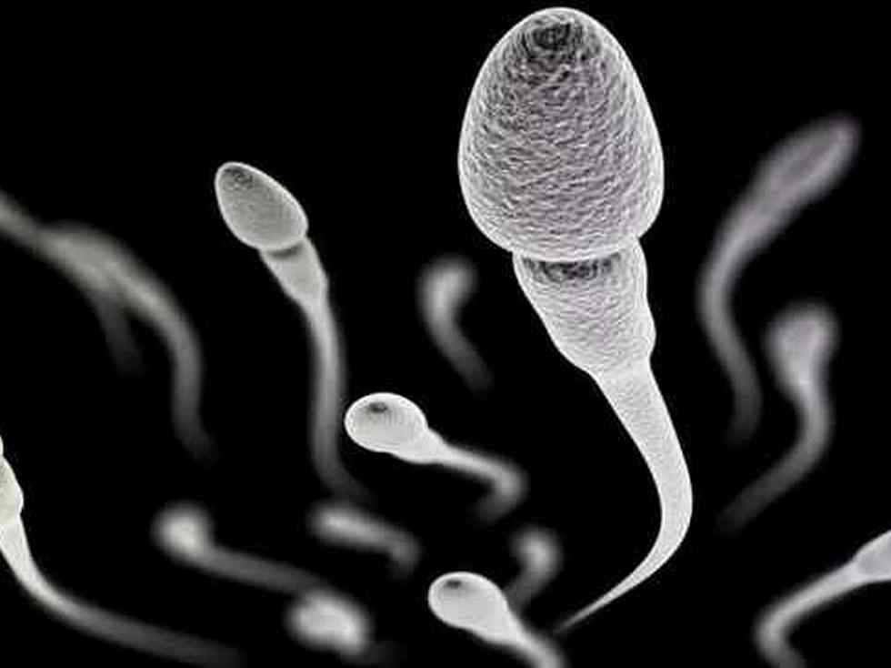  6 way of life modifications to extend your sperm rely