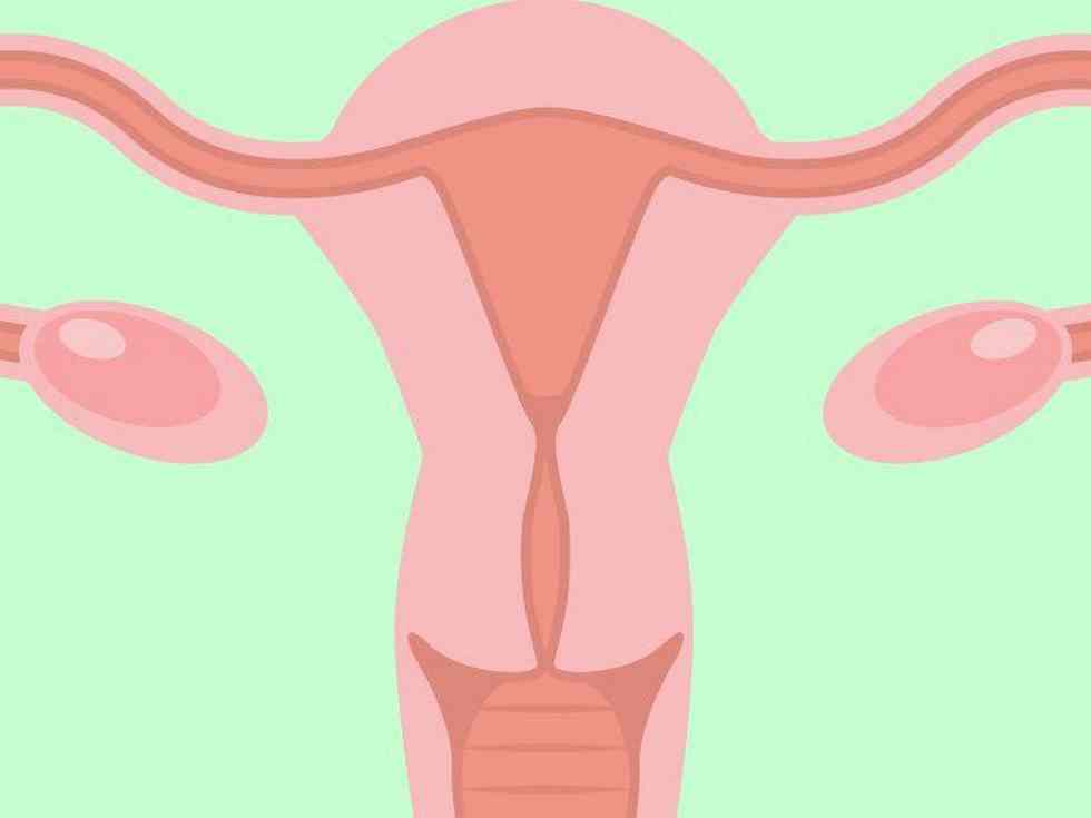  5 Issues Each Girl Ought to Know About Her Ovaries