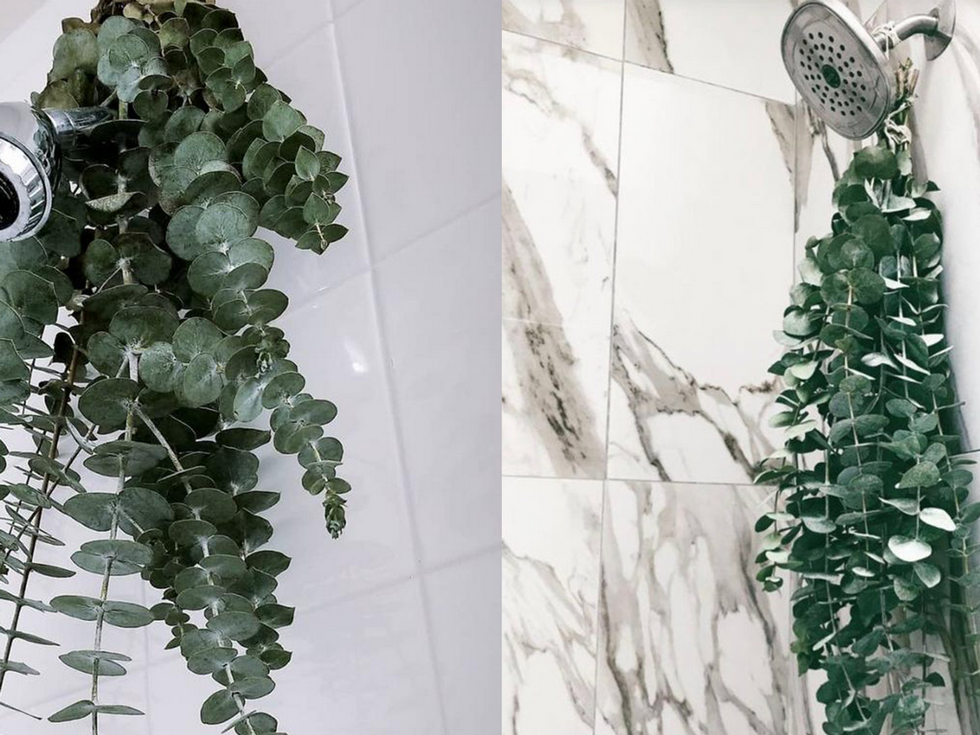  This Hanging Eucalyptus Wreath Is the Prettiest Strategy to Make Your Bathe Extra Stress-free