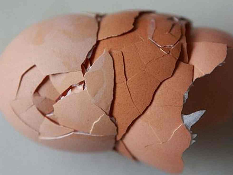 10 Good Makes use of For Eggshells